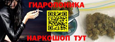 молекула духа Партизанск